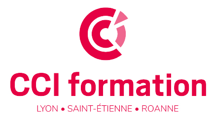 logo cci formation lyon saint etienne roanne