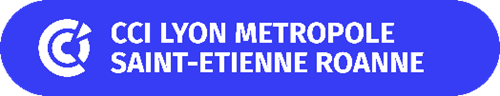 logo cci lyon metropole saint etienne roanne